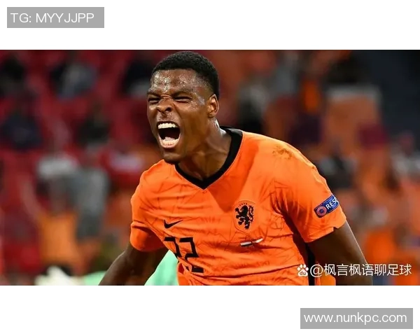 深圳足球队耐力分析与战术调整的深度探讨与展望